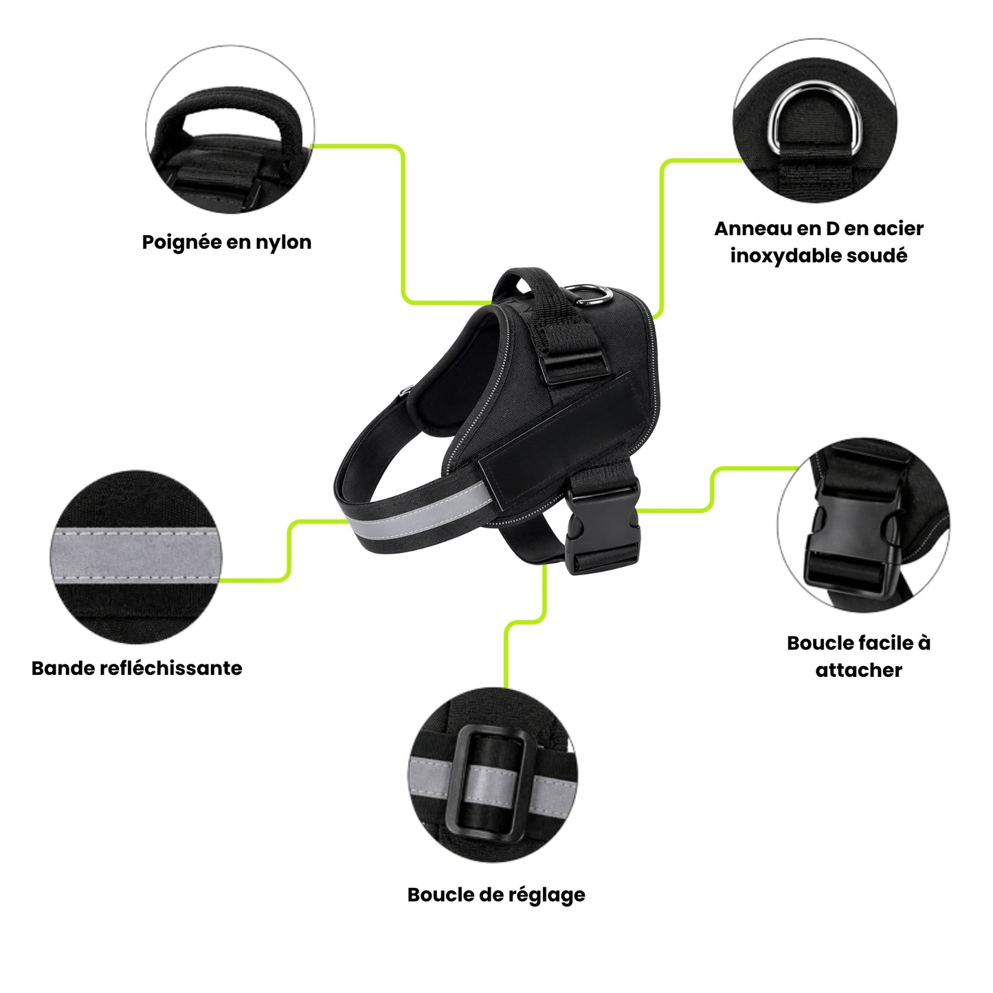 Harnais Anti-Traction Réfléchissant pour Chien | Pawen™