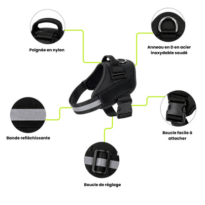 Harnais Anti-Traction Réfléchissant pour Chien | Pawen™