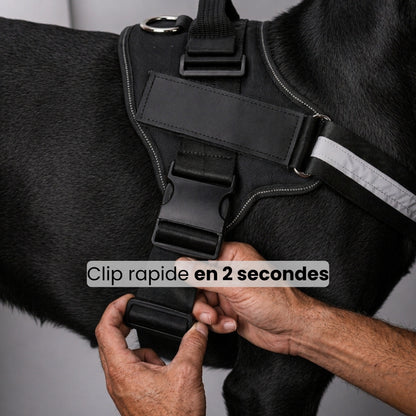 Harnais Anti-Traction Réfléchissant pour Chien | Pawen™