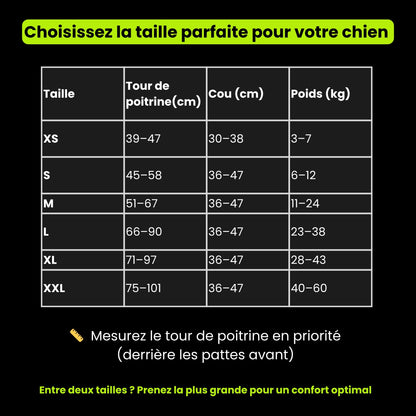 Harnais Anti-Traction Réfléchissant pour Chien | Pawen™